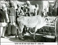 Bhagat Puran Singh photograph 39
