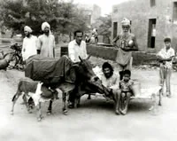 Bhagat Puran Singh photograph 50
